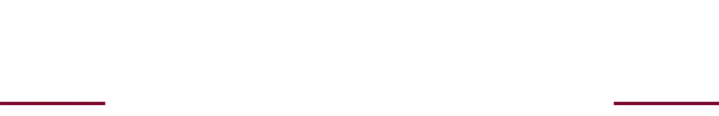 PLATTLAGGNING V invert